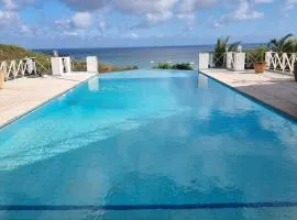 O Diamant Bleu vue mer infinie