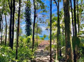 Casa Caimito，努基的木屋