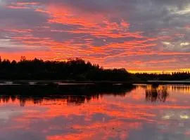 Traditional Finnish Lapland house at wild forest backyard!