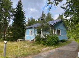 Traditional Finnish Lapland house at wild forest backyard!