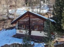 Chalet Les Epilobes, Zinal