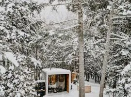 Aux Box Muskoka Modern Muskoka Bunkie