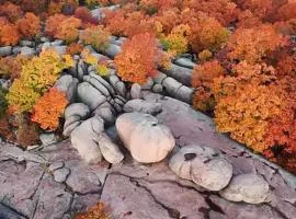 State ParksBungalowCoffeeBarPetFriendlyPorch