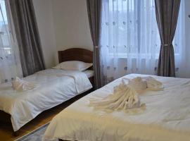 Pensiunea Rozalina, Hotel in Rozavlea