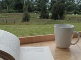CasaGolondrina, naturaleza, aves cerca de Frutillar
