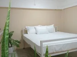 Tranquil Nest HOMESTAY