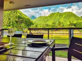 Teahupo'o Lodge Tahiti - Fare Terre et Mer - climatisé - canoe et paddle