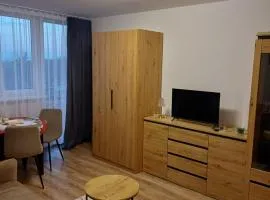 Apartament z widokiem na Zamek