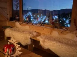 Apartament Hakerówka