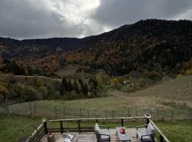 Mitarbi Silence - cozy holiday cottages in mountains