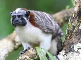 Hacienda MartinezSierra