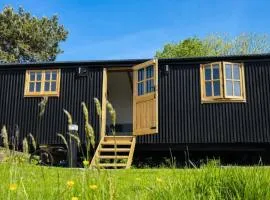 Luxury Shepherds Hut on Powis House Estate