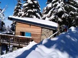 Chalets à Chamrousse - Chalet des lupins - Chalet 1P2 MAE-3173