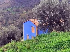 House in the Countryside with Aeolian View