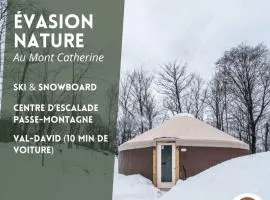 Cozy Yurt in the Woods