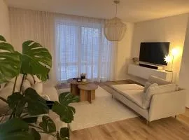 House near the Piešťany Spa - comfort for relaxation