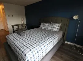 Nice Queed bed apt in Beverly Hills neighborhood