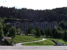 Résidence Les Aloubiers - PIED DES PISTES MAE-7233