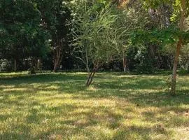 ParadiseLost Camping Ground