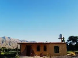 Nativas Cabaña Amarilla