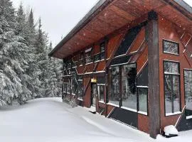 The Sculptural Nature Escape, hot tub, Billiards