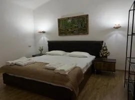 Gori-Modern Private House in the City Center