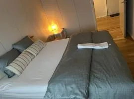 Tapulikaupunki Apartment Helsinki