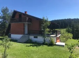 Mountain resort house - Planinska vikendica