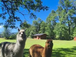 Cabañas Valle del Río