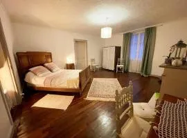 Gîte spacieux avec jardin et animaux acceptés près de Blois - FR-1-491-472