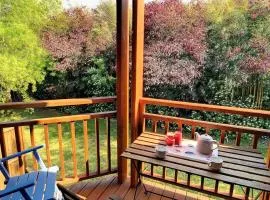 Appartement lumineux à Messanges - 4 pers, animaux admis, parking - FR-1-857-62