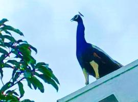 little rose inn, hotel in Wellawaya