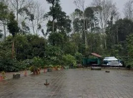 COFFEE ESTATE STAY COORg