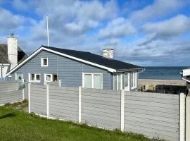 Pet Friendly Home In Otterup With Wifi