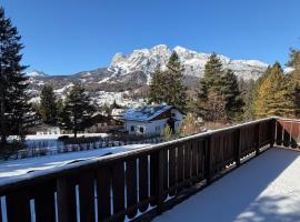 Casa panoramica con terrazza vista Tofane，位于科尔蒂纳丹佩佐的酒店