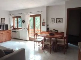 THE SILENT WOODS RETREAT - Apartment very close to Bormio