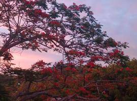 SeaSide HomeStay, Rental Car Chauffeur, Airport Shuttle, allotjament a Korotogo