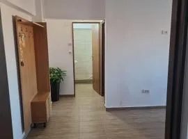 Brancoveanu Avenue Apartament