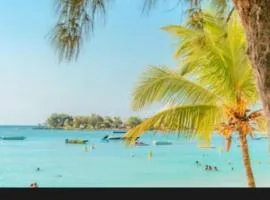 Aqua Aura 2 Bedroom Apartment Pereybere