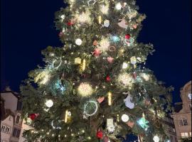 Ferienwohnung Naturpur, hotel in Rheinau