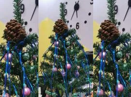 Harmony Backpackers Hostel