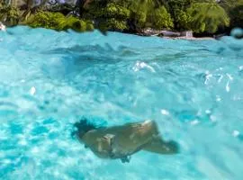 Your Island Gateway - Kirulhiya Omadhoo