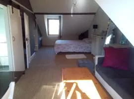 Chambre spacieuse proche du centre ville