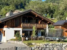 Beautiful chalet with swimming pool & great garden