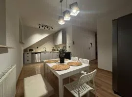 Szczecin Mierzyn Windmill