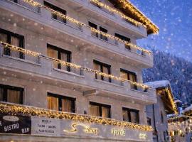 Alphotel Garni Salner