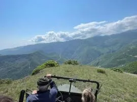 Saro B&B and Extreme Safari Tours