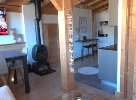 Portes du Soleil T3 "comme un chalet" direct access Morzine Avoriaz, hotel i Montriond