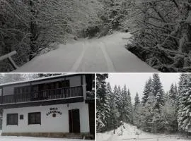 Вила Еделвайс