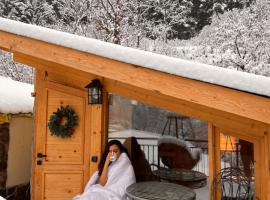 Hotel Borjomi Verde, &phi;&theta;&eta;&nu;ό &xi;&epsilon;&nu;&omicron;&delta;&omicron;&chi;&epsilon;ί&omicron; &sigma;&epsilon; Borjomi